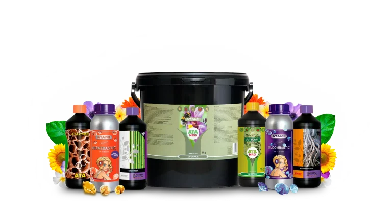 Atami fertilizer products shown to enrich substrates and provide essential nutrients for continued healthy plant growth.