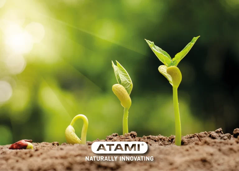 Young seedlings emerging from soil, representing healthy seed germination and strong plant growth development.
