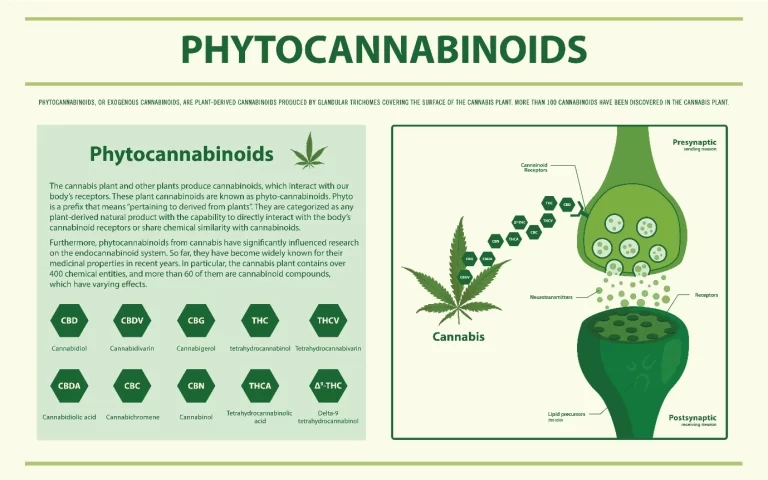 Diagram showing main phytocannabinoids found in the Cannabis sativa L. plant, including CBD, THC, CBG, and other compounds.