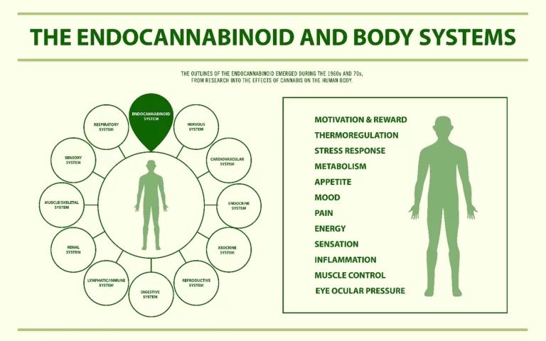Illustration showing body processes regulated by the endocannabinoid system, including mood, sleep, pain, and appetite.