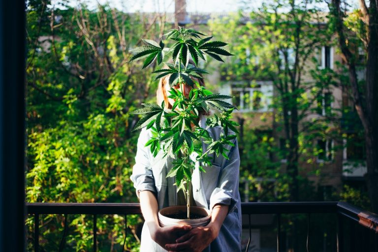Woman holding a potted cannabis plant on her balcony, representing personal cultivation and mindful plant care at home.