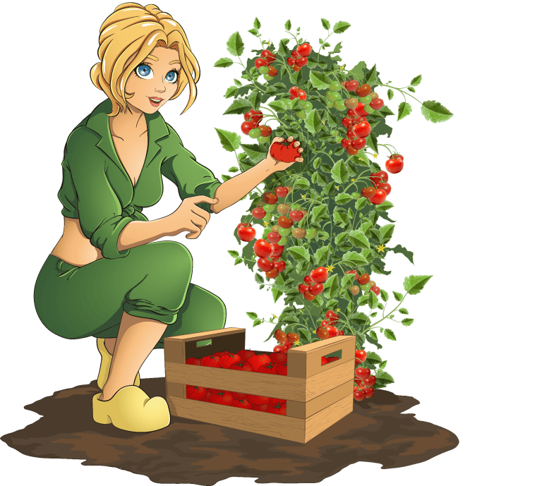 An image of Tammy tending her tomatoe plant