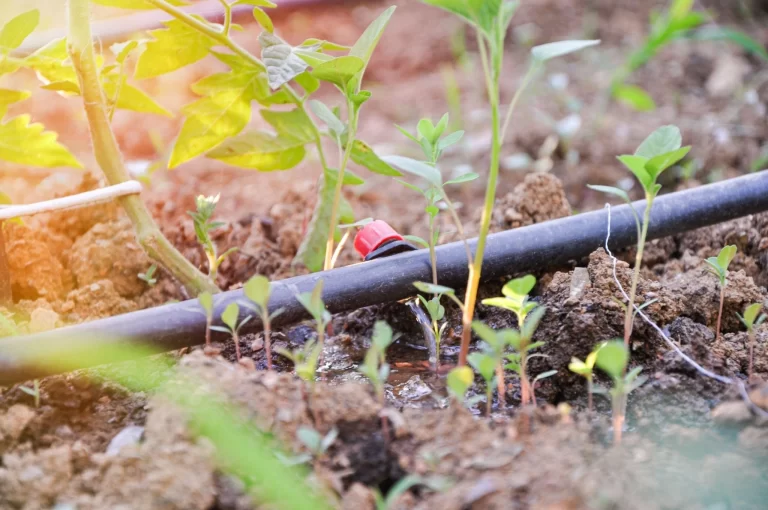Automatic irrigation system for the garden.