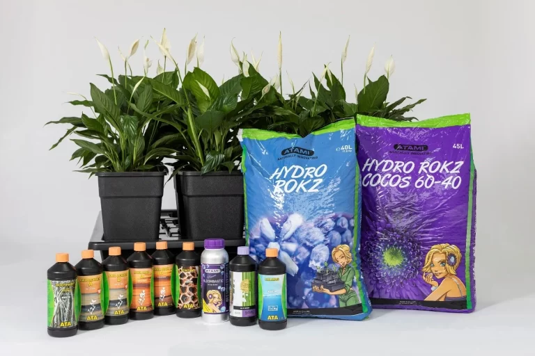 The products of the ATA range for hydroponic crops, Hydro Rokz and Wilma Systems, ideal for starting a hydroponic crop.