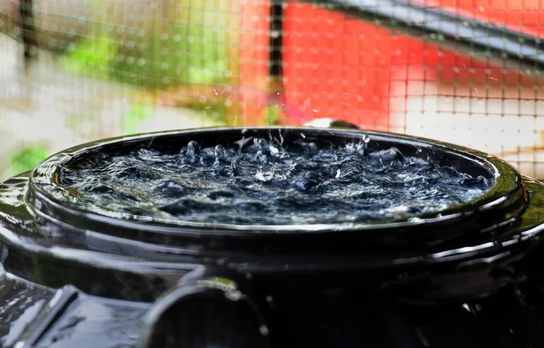 Collecting rainwater can be as easy as leaving a container outside when the likelihood of rain is high.