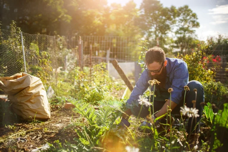 Organic gardening is a great way to enjoy fresh vegetables all year round.