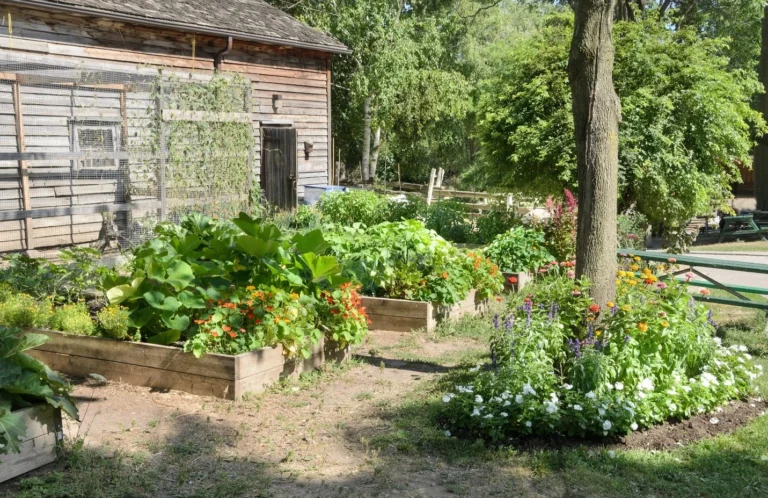 A diverse and colourful garden is a healthy garden.