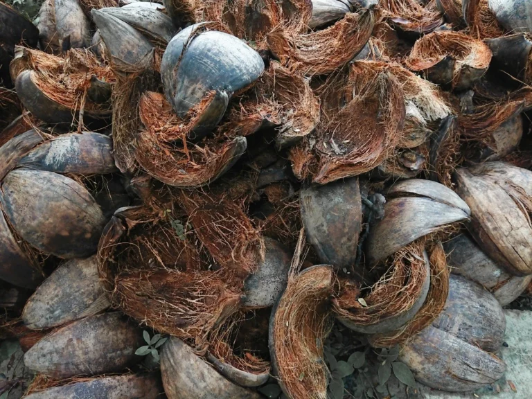 The coco substrate is a by-product of the coconut industry.