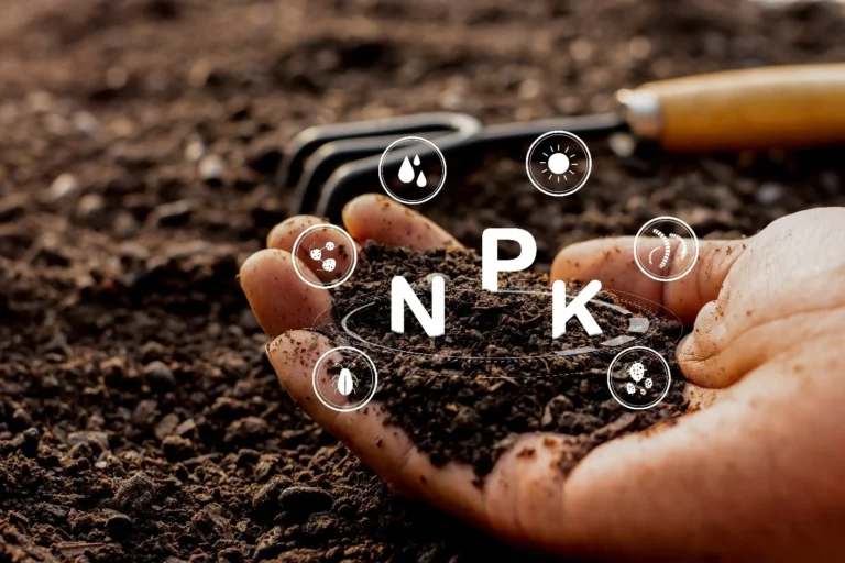 Hand holding nutrient-rich substrate with animated NPK symbols above, representing balanced nitrogen, phosphorus, and potassium.
