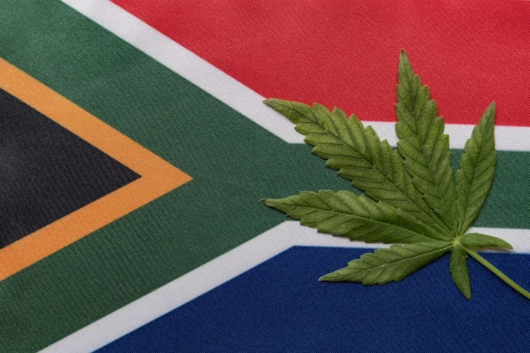 The South African flag and a cannabis leaf, symbolising the new law.