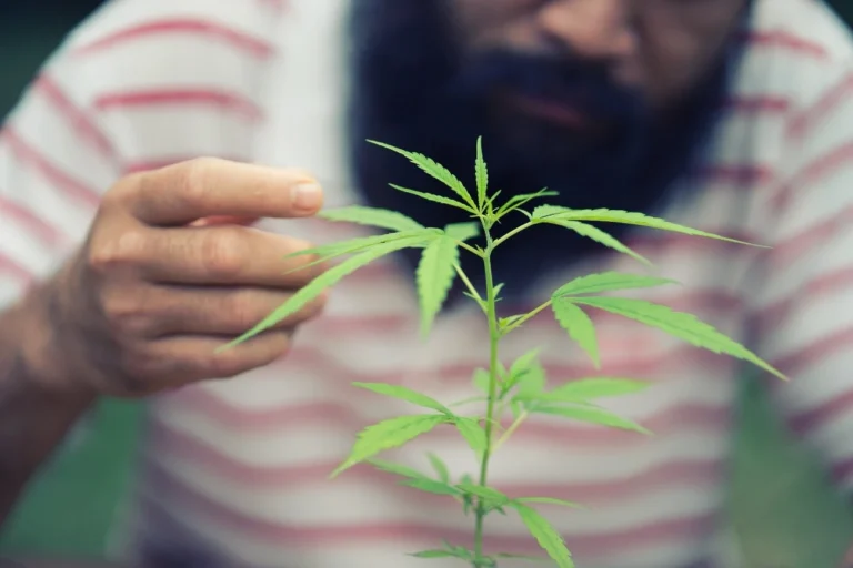 Man tending his cannabis plant in a private space.
