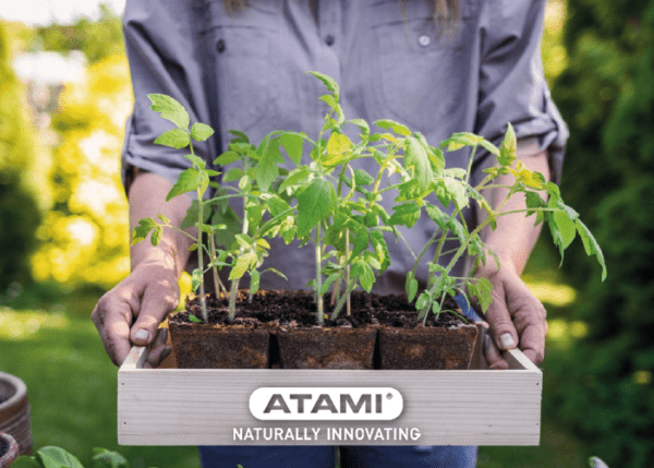 Master the Root Zone: A Complete Guide to Strong Plant Root Systems