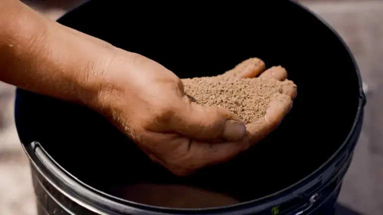 Hand scooping organic fertiliser from a bucket, illustrating the use of natural nutrients in plant cultivation.