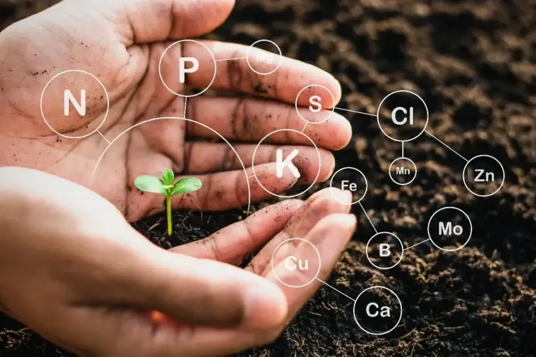 Animated image of a hand holding a small plant in substrate, surrounded by element symbols representing nutrients.