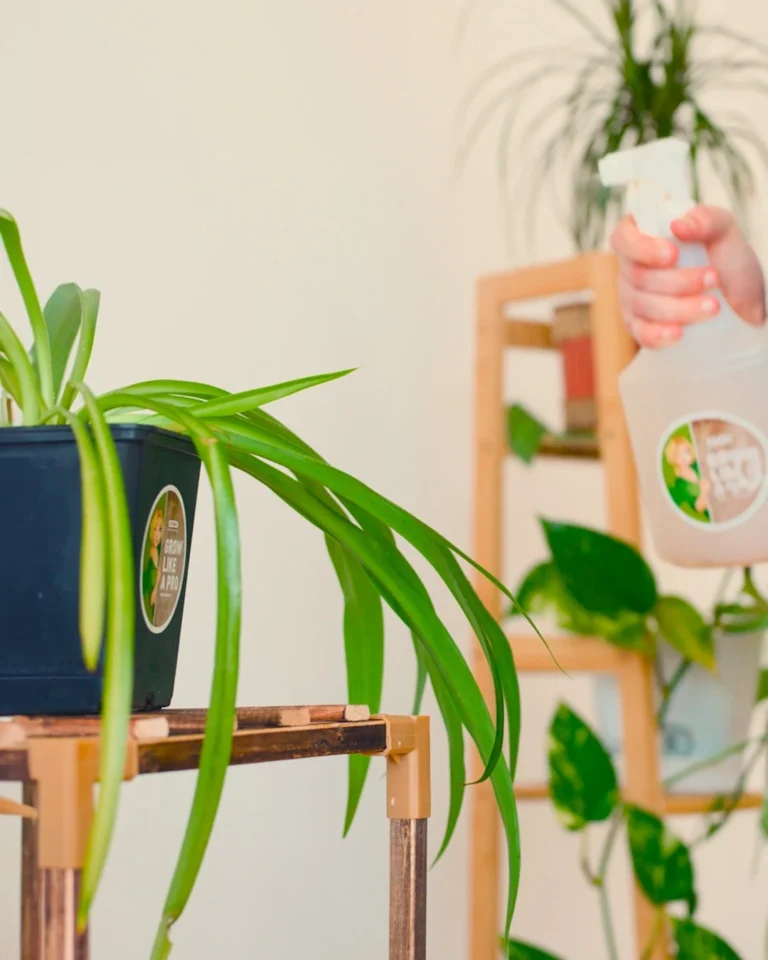 Spraying your crops, or even your indoor plants, with nutrient solutions has many benefits.