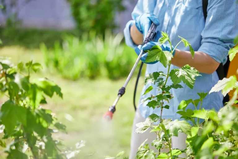 Getting a quality sprayer that produces a light, steady mist with good pressure is the best tool.