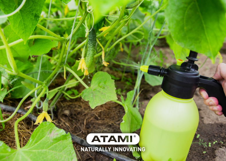 The Benefits of Foliar Feeding