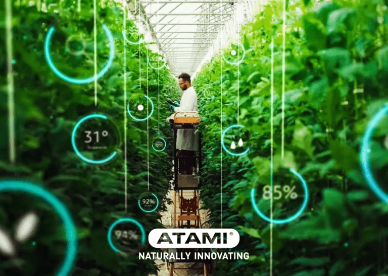 The Importance of Relative Humidity and Temperature When Growing Indoors