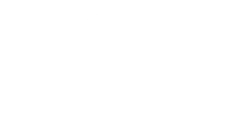 VGN logo.