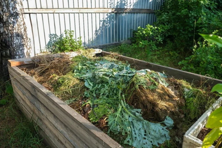 When organic matter decomposes it produces a lot of fulvic and humic acids, so compost is a good source.