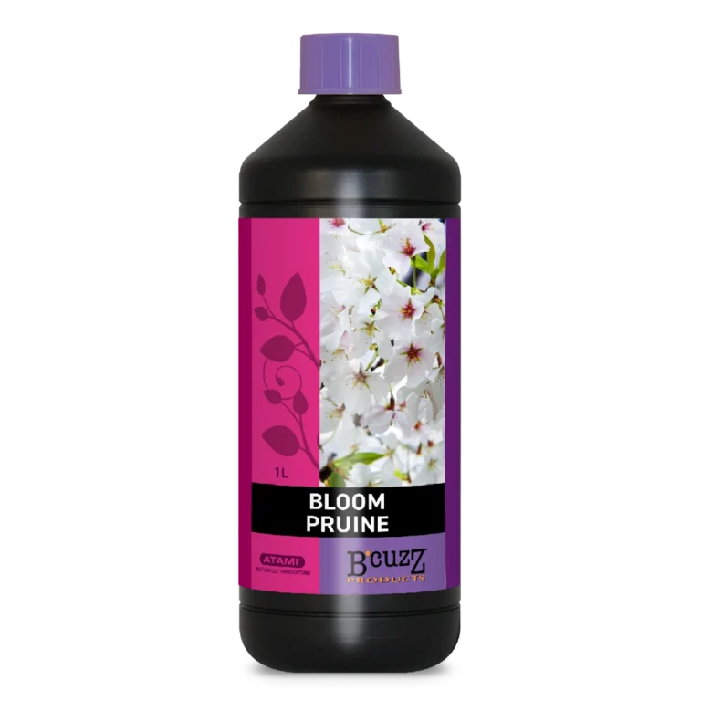 B'cuzz Bloom Pruine product image