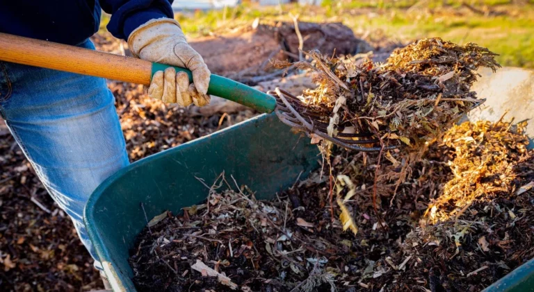 Good mulching with organic material is key to the no-dig method.