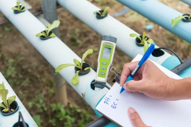 There are digital meters that measure pH and EC (electrical conductivity, so you know how much nutrition you are giving your plants) at the same time, thus saving you steps.