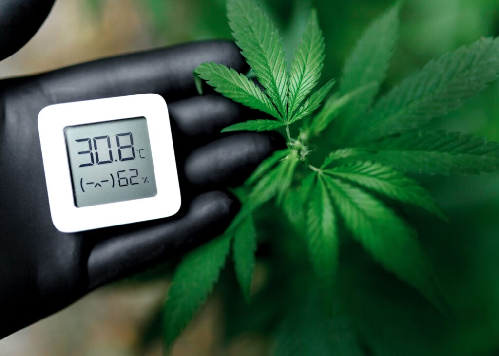 What is VPD Perfect your Cannabis Growing with Ideal Humidity and Temperature Settings