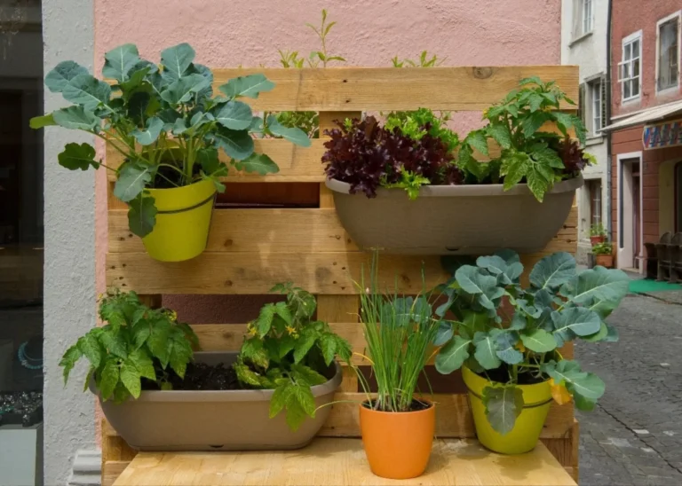 How to Create a Vertical Garden at Home with VGN Organic Fertilisers