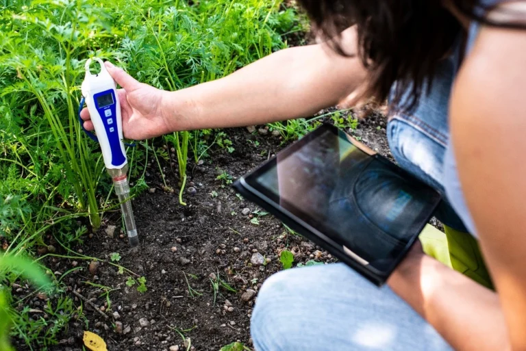 A woman measuring the pH of the soil. Keeping control of the pH of the soil and nutritive solution it’s the best way to avoid blockages due to pH.
