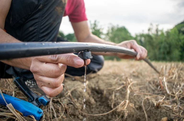 Farmer using drip irrigation system to reduce water waste and lower carbon footprint in cultivation.