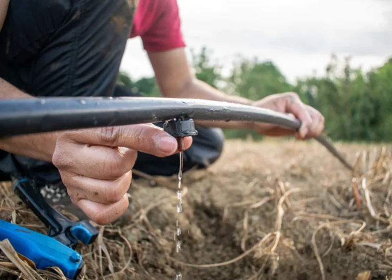 Farmer using drip irrigation system to reduce water waste and lower carbon footprint in cultivation.