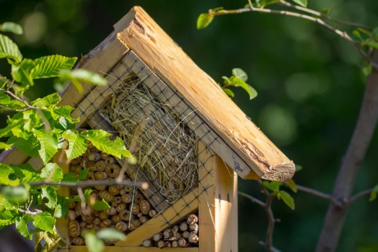 Insect house placed in a biodiversity garden, attracting beneficial insects to support organic and ecological cultivation.