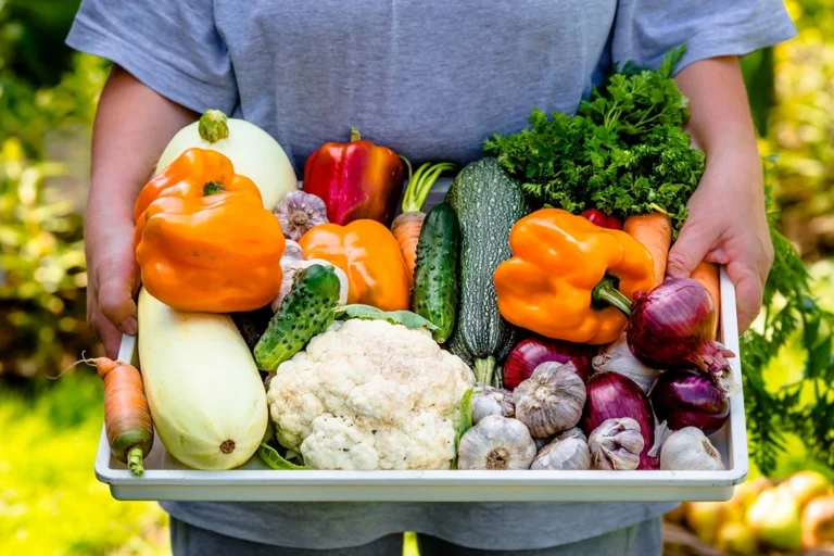 Write an ALT text for an image located at https://atami.com/blog/cultivation/essential-tips-and-organic-solutions-for-growing-in-autumn. The image shows de VGN lijn van Atami. The ALT text must be between 80 and 125 characters, optimized for Google and AI-based SEO. Use relevant keywords naturally, avoid keyword stuffing, and ensure the description is clear, concise, and accessible. In English please.