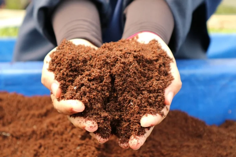 Hands holding peat and coco coir substrate mix, highlighting texture and quality of raw horticultural materials.