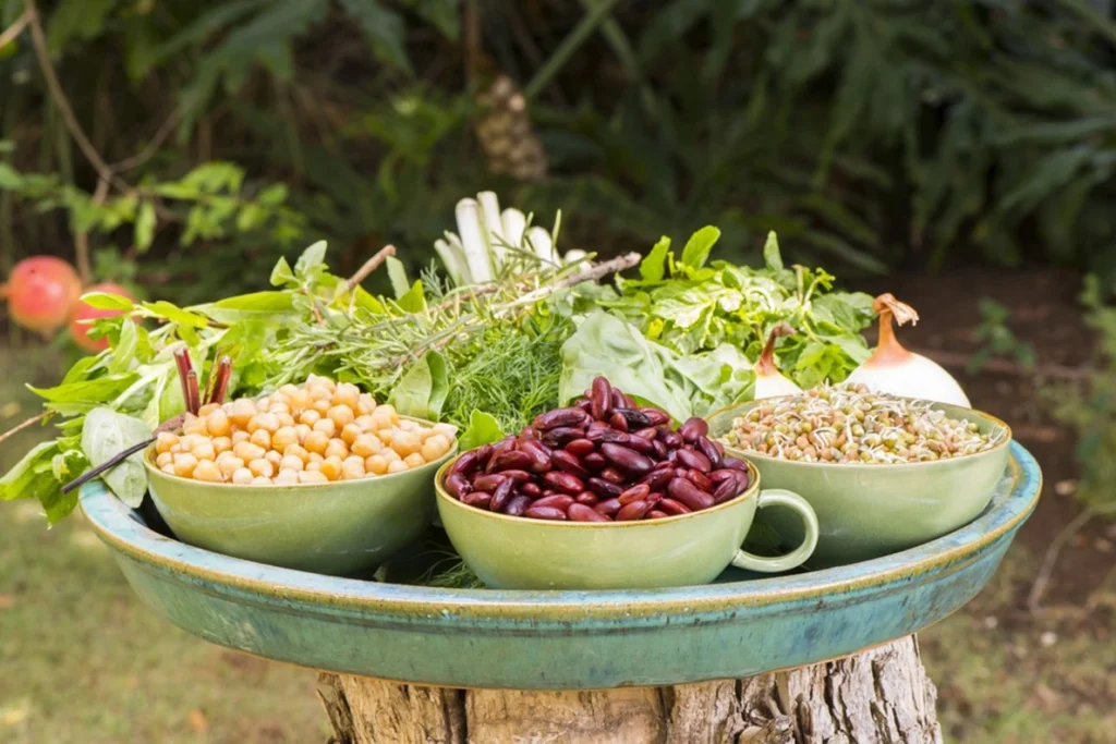 Beans, chickpeas, and fresh herbs arranged on a plate, highlighting nutritious high-protein crops for home gardening.