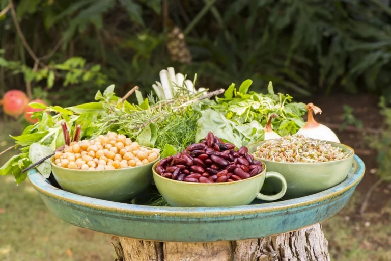 Beans, chickpeas, and fresh herbs arranged on a plate, highlighting nutritious high-protein crops for home gardening.