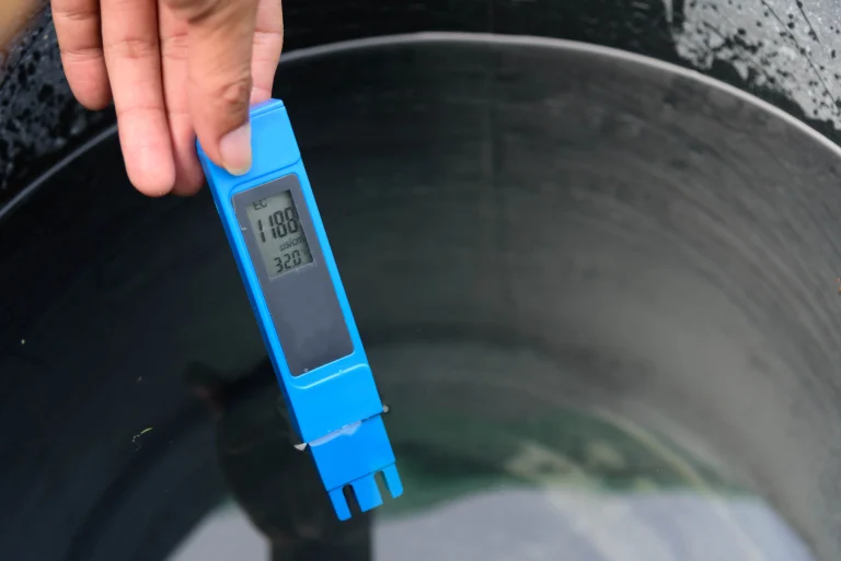 EC meter testing a cannabis nutrient solution during the vegetative stage