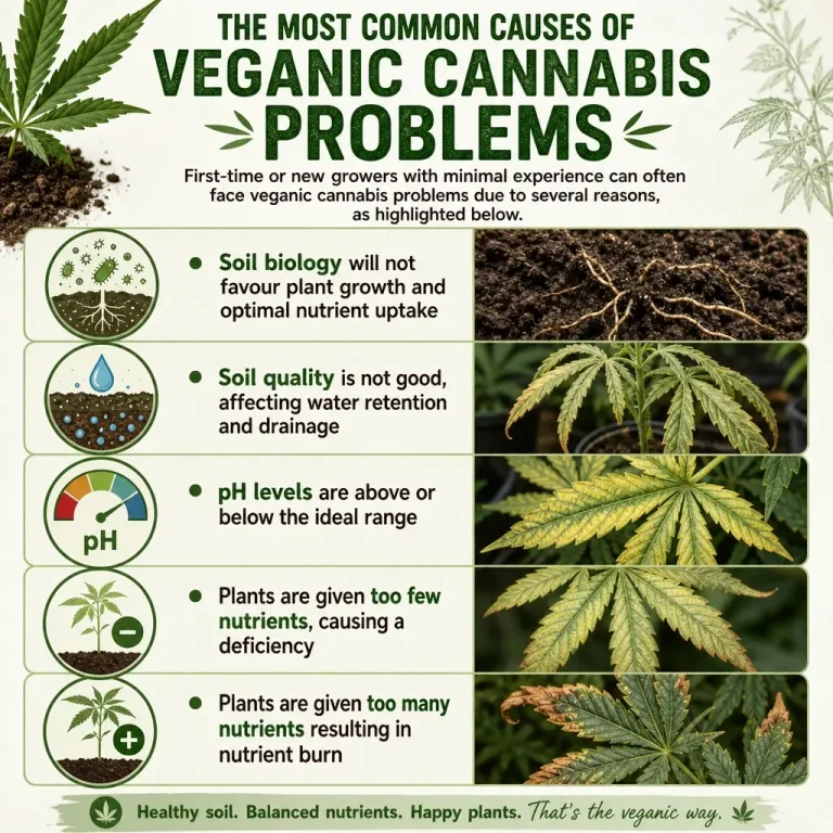Infographic showing common veganic cannabis growing problems including poor soil health, pH imbalance, nutrient deficiency and nutrient burn