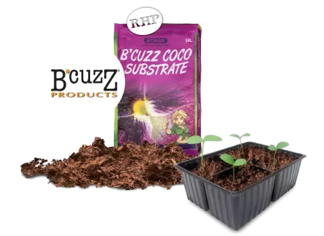 Bcuzz-Substrates-Packshot-CA